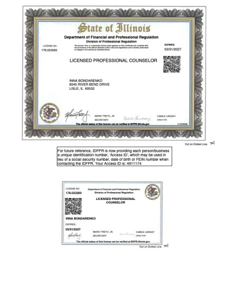 License 
